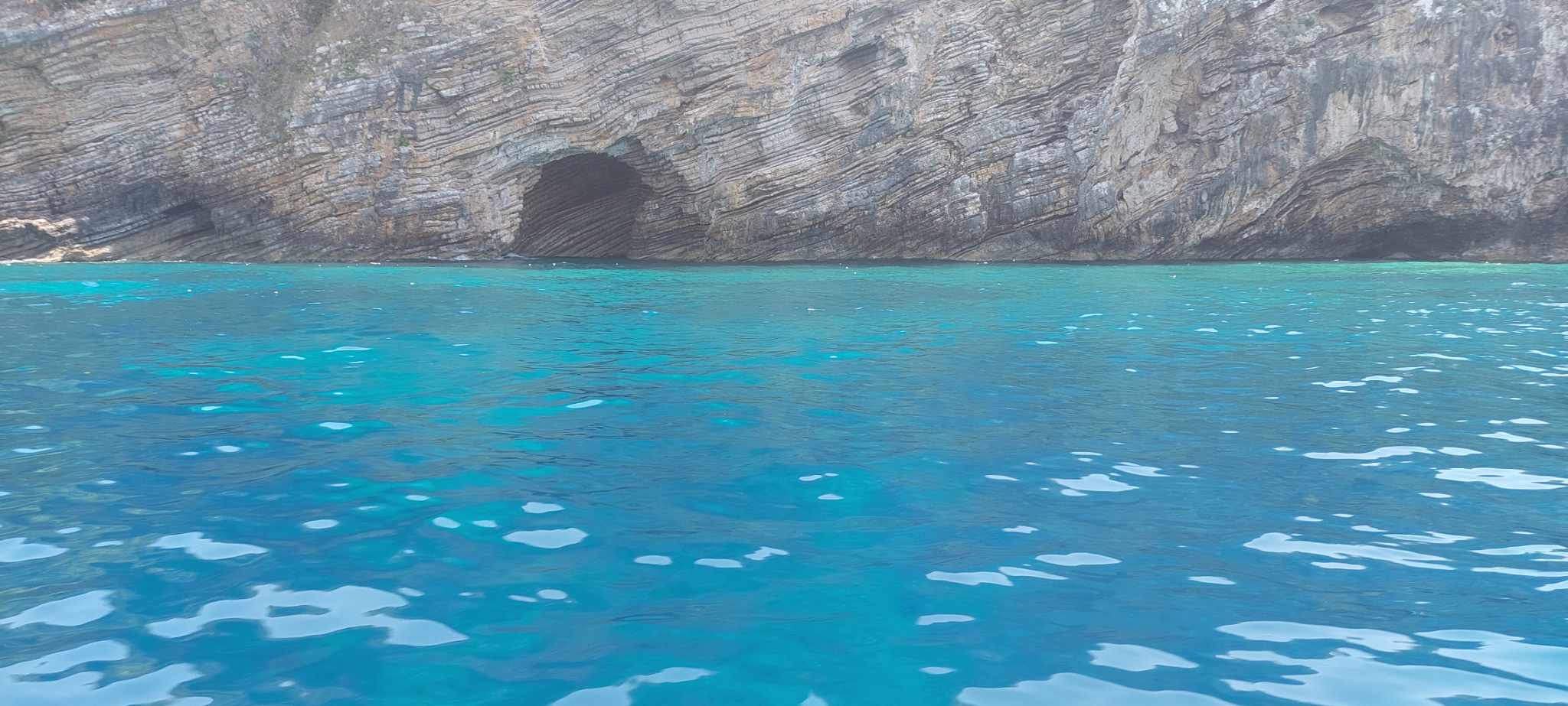 883b93b5 ce9e 4249 9924 897fc0a09677